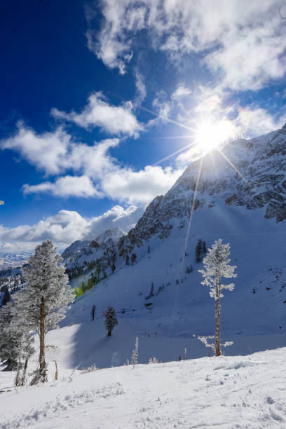 snowy alpine panorama with skis on the precipice