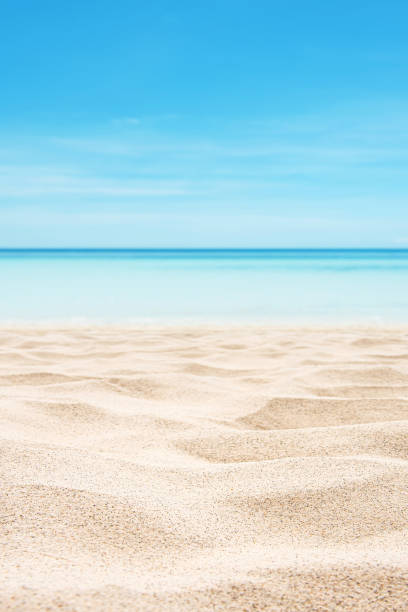 istock Empty sand beach with tropical sea and sunny blue sky copy space scene 2194805806