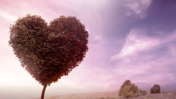 istock View of a tree with a heart shape in the dramatic sky background. Copy space. Decoration for Love or Valentine Day background 2194806633