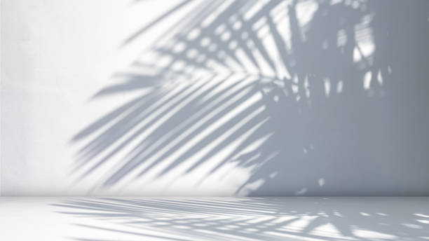 istock Background of nature cement texture with shadow palm leaves, Empty grey cement wall floor and wall room, Well display product and text present on free space, Luxury backdrop, Spring and summer. 2194808737