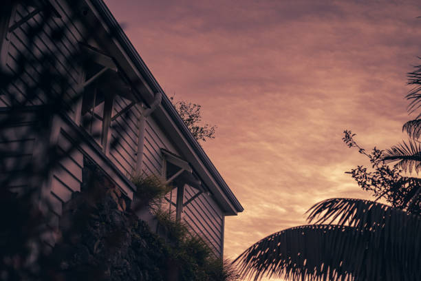 Palm trees and a house at sunset