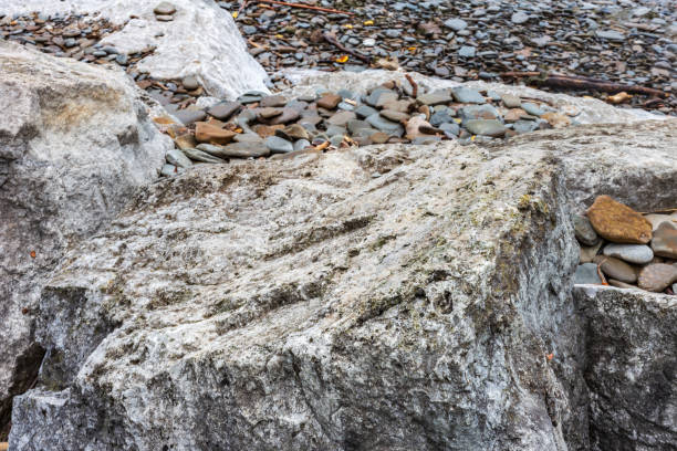 Natural Rocky Shoreline with Smooth Stones and Weathered Rock Formations