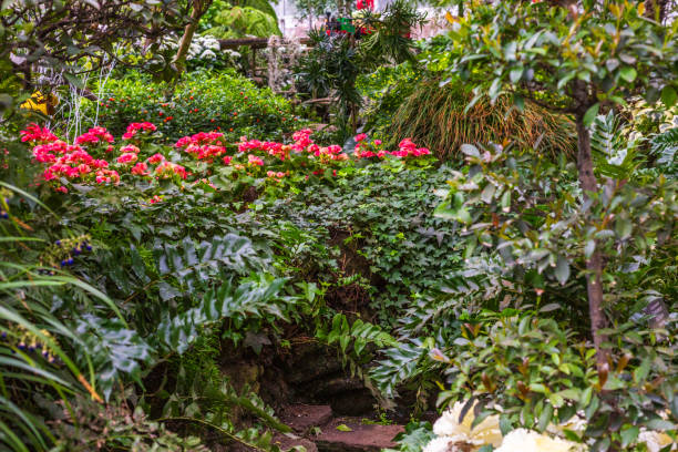 istock Lush Greenery and Vibrant Flowers in a Tranquil Garden Setting 2194810978