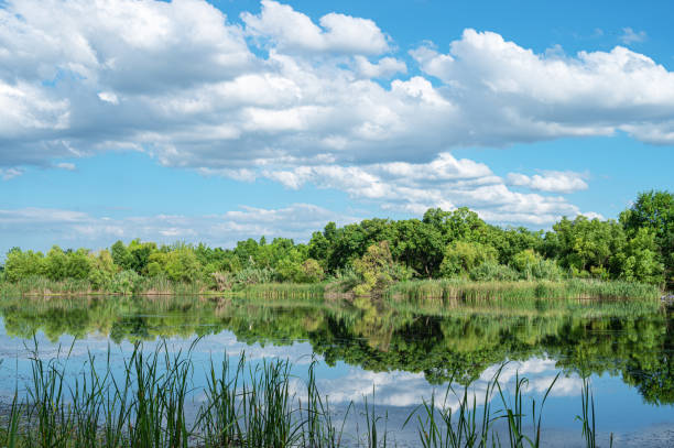 istock Beautiful scenery with river bank and sunny blue sky 2194811344