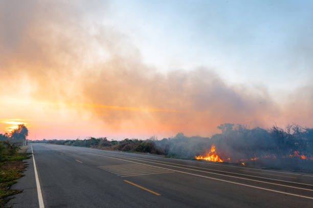 istock Smoke and fire on the rural road 2194813050