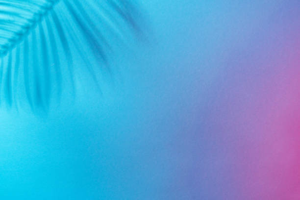 Minimalist flat lay photo of palm tree shadow with copy space. Blue to purple gradient background with fooliage shadow. Summer vacation concept resting on the beach under the sun.