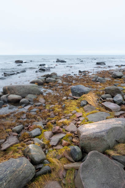 istock A rocky pasture with the sea in the background 2194814343