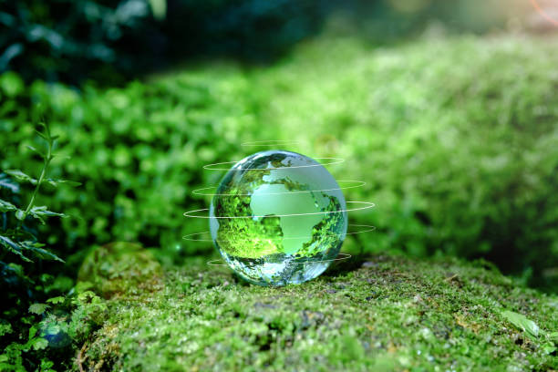 istock Crystal globe placed on moss in the forest. Concept. World Environment Day, Love the Earth, Sustainability, Environmentally conscious business, ESG, Netzero, SDGS. 2194822688