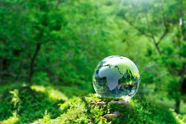 istock Crystal globe placed on moss in the forest. Concept. World Environment Day, Love the Earth, Sustainability, Environmentally conscious business, ESG, Netzero, SDGS. 2194822820