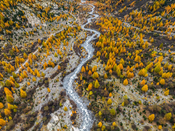 River by drone , top down, Glacier Engadine
