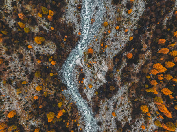 istock Glacier Rivers of Switzerland 2194824191