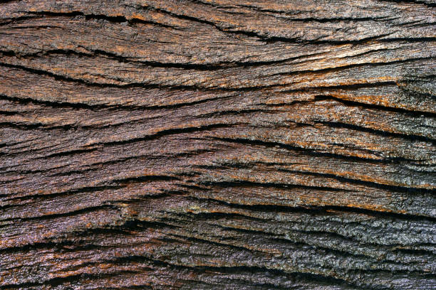 istock Close-up of Detailed Textured Wood Surface with Natural Patterns 2194824424