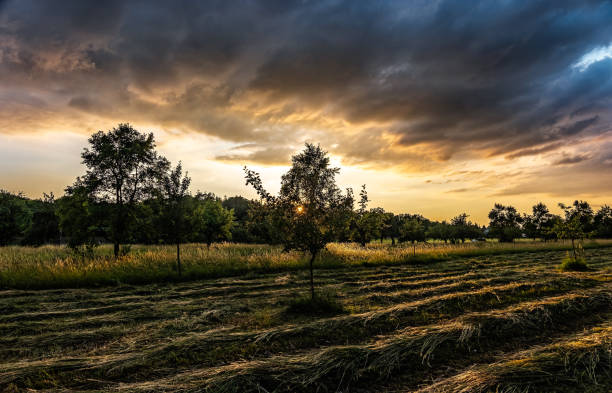 istock Beautiful Sunset Over a Serene Countryside Field with Clear Sky 2194825449