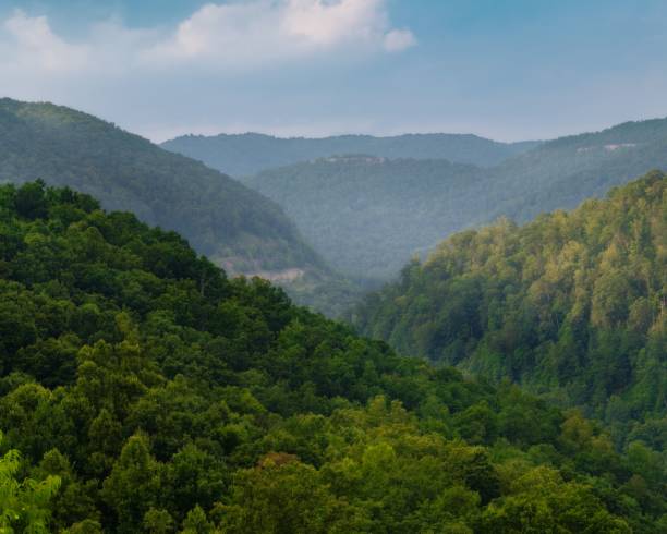 istock Lush green forest with rolling hills and trees in West Virginia during summer. 2194826078