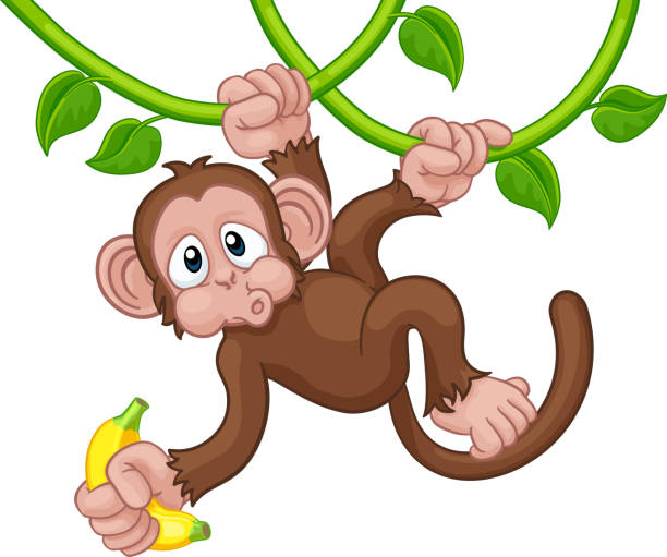 Monkey Singing On Jungle Vines With Banana Cartoon A monkey cartoon character singing on jungle vines with banana clip art of a monkey holding banana stock illustrations