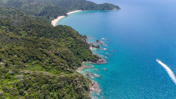 istock Aerial view of Abel Tasman coastline 2194828568
