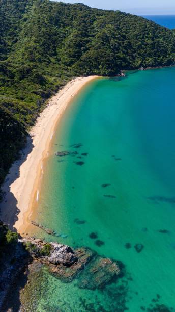 istock Aerial View of Pristine Beach in Abel Tasman 2194828586