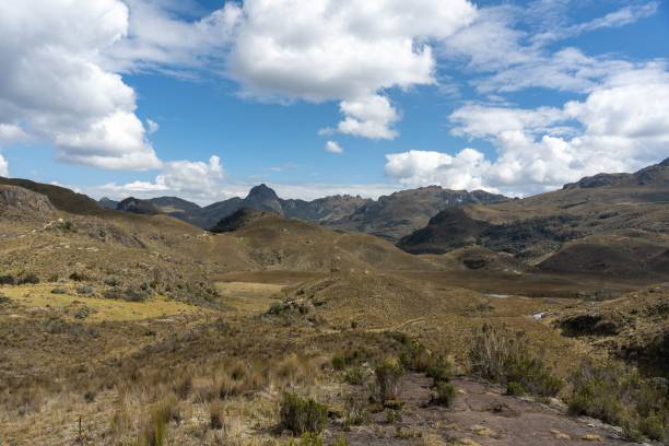 istock Scenic view of Cajas National Park with rolling hills. 2194829179