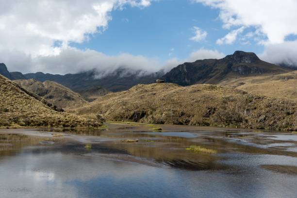 istock Mountainous landscape with lake in Cajas National Park 2194829183