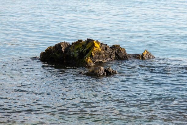 Rocky formation in a blue water at sunrise. Praia Formosa beach in Funchal on the island Madeira, Portugal
