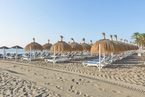 istock Group of sun beds with straw umbrellas on a beach 2194836000