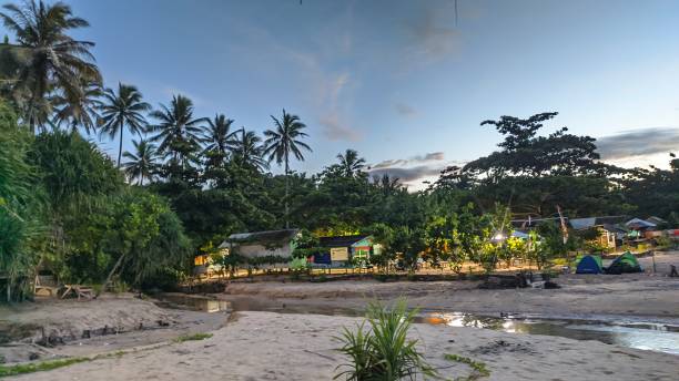 istock View of Coconut Trees on the Beach at Sunrise 2194836746