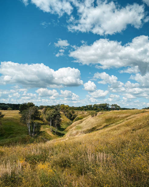 istock Natural ravine with few trees randomly scattered. 2194837932