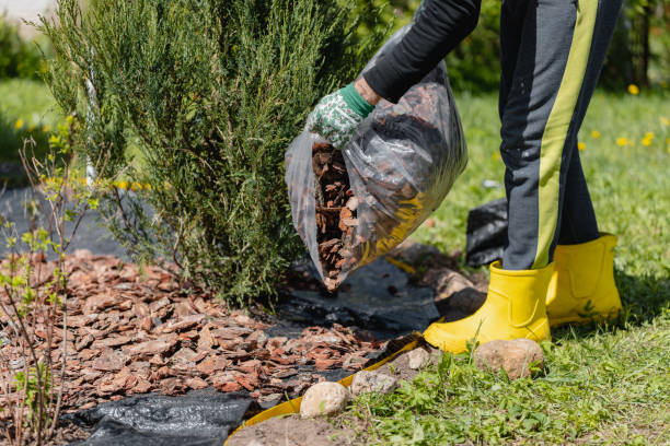 istock Using bark against weeds around garden plants 2194843707