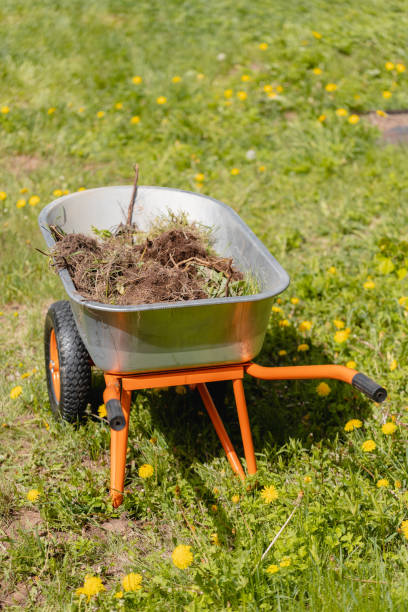 istock Garden cart full of weeds 2194843708