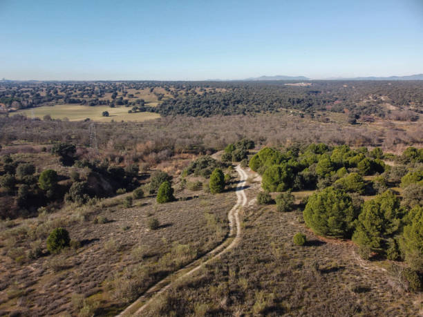 istock fields, landscape, view, from above, from a drone, sunny, nature, trees, spain, winter, 2194845314