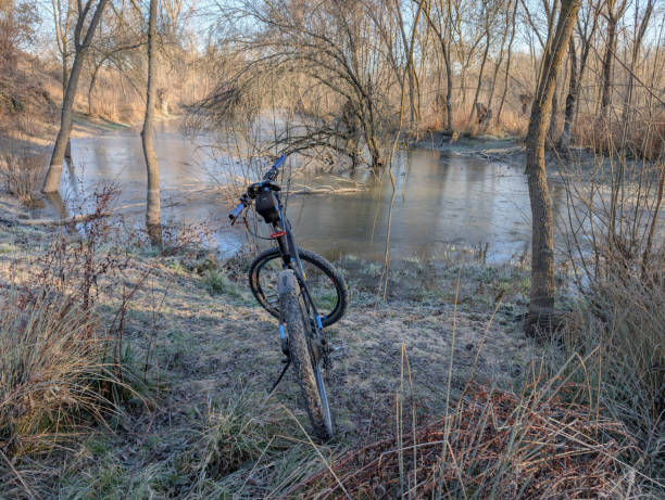 landscape view of a frozen pond in winter in spain