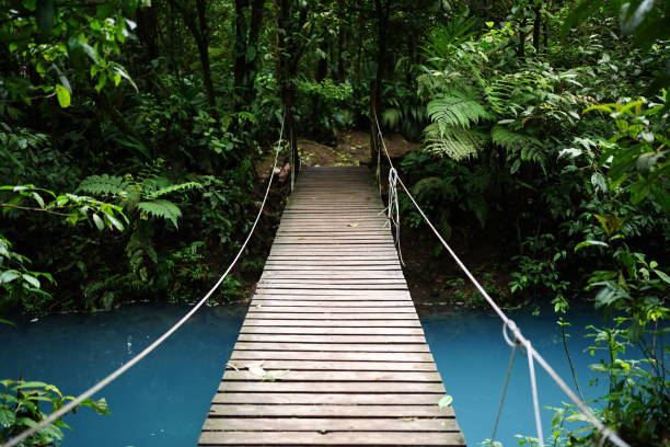 istock hanging bridge over bright blue water river in costa rica 2194847715