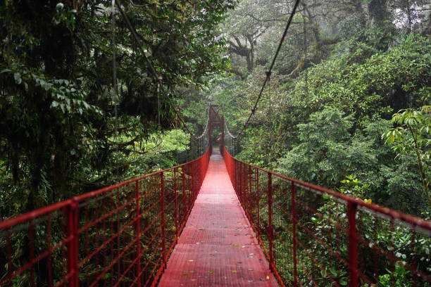 istock girl with a cape taking a picture walking on a hanging bridge 2194848020
