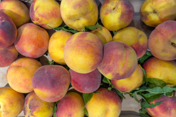 Fresh, organic peaches stacked in a market display. The peaches are ripe, with a vibrant orange-red color and a velvety texture. The setting is a local farmers' market.