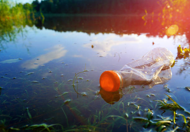 istock Plastic waste in lake. Ocean pollution. Marine litter. Garbage plastic bottle in pond. Plastic marine debris. 2194853154
