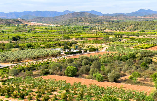 istock Spain rural with farm fields, aerial view. 2194854771