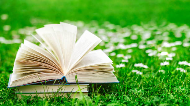 istock Open Book Nature on Spring Flowers Background 2194860548