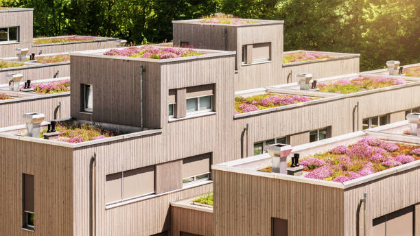istock Roof Gardens on Modern Eco Buildings 2194861172