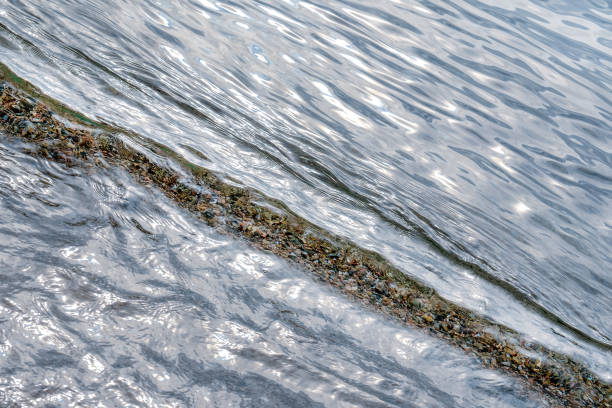 silvery surface of a calm sea, a wave rolling onto a sandy shore