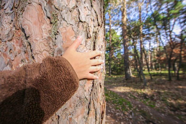 Detail of a left hand touching the textured bark of a tree trunk in a forest at dusk with flashes of light.