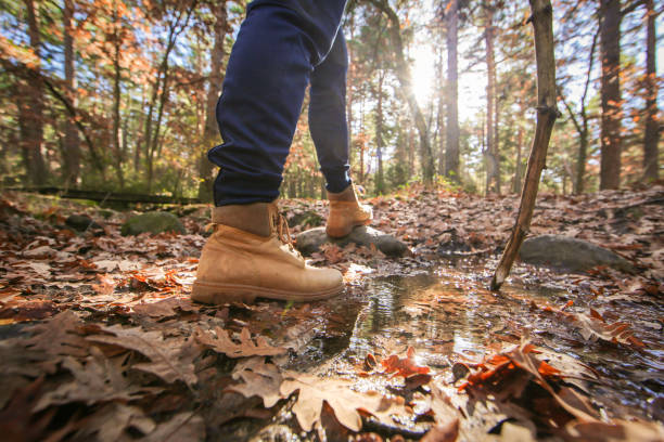 Low section view of man hiking in autumn forest. Close-up of male hiker wearing hiking boot walking on path covered with fall leaves.