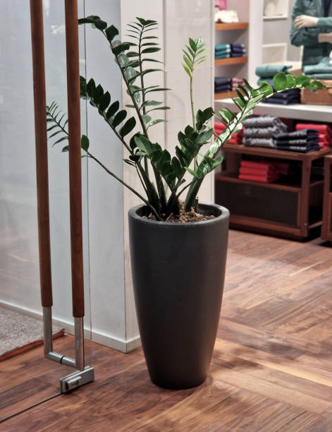 istock frameless glass door. glazed partitions have special hinges and handles. everything is drilled into the glass and attached with stainless steel screws. polished bar handle, parquet 2194874048