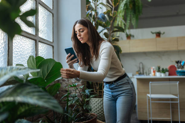 istock Woman checking her houseplants with a smartphone app 2194875695