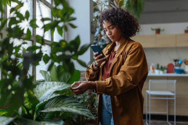 istock Woman checking her houseplants with a smartphone app 2194875704