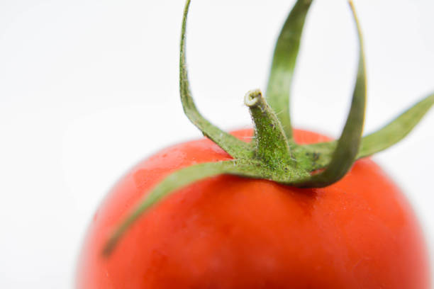 Tomato on a white background. Fresh tomato. Red tomatoes. Vegetables for design