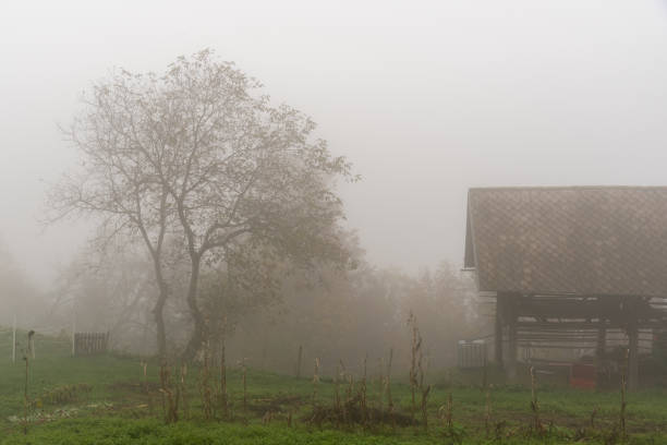 istock Wooden barn and leafless tree in autumn. 2194888644