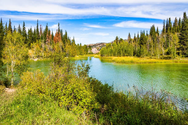 Gorgeous Utah landscape. Scenic road through autumn forests. Quiet lake surrounded by evergreen fir trees. Autumn trip to the western USA. Moab