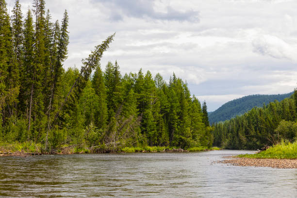 istock Summer landscape with river Azas. Russia. Siberia 2194895615