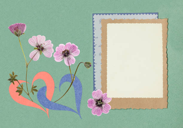 Love Letters and Diary