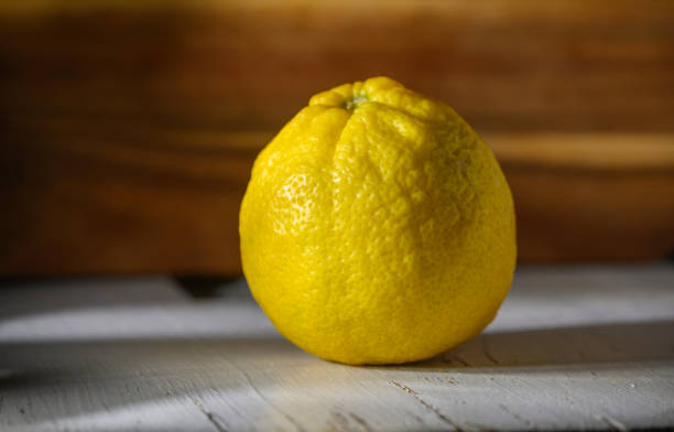 istock Bright yellow lemon sits gracefully on a rustic wooden surface under warm, natural light in a cozy kitchen 2194903729
